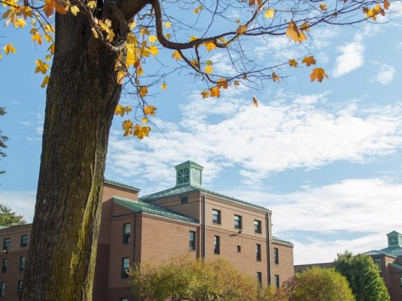 A stock photo of campus, with a tree in autumn with yellow leaves and dorm buildings in the distance, along with a cloudy blue sky.