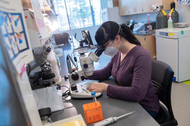 Biology student studying how micro-organisims consume microplastics, and potential ways go prevent them from doing so.