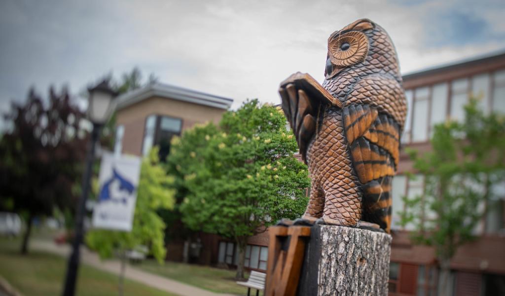 Wooden owl carving outside Bates & Wilson Halls.